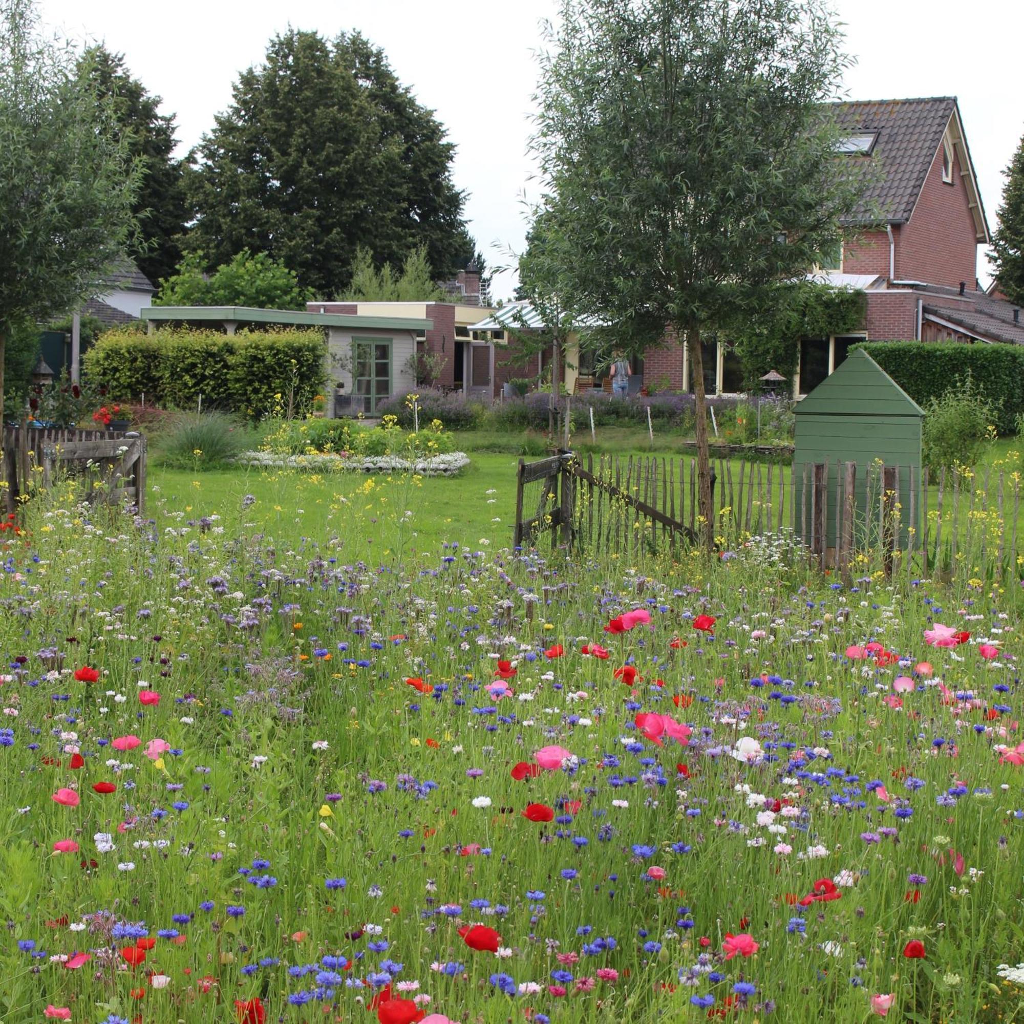 De Bosuil Bed & Breakfast Steensel Eksteriør bilde