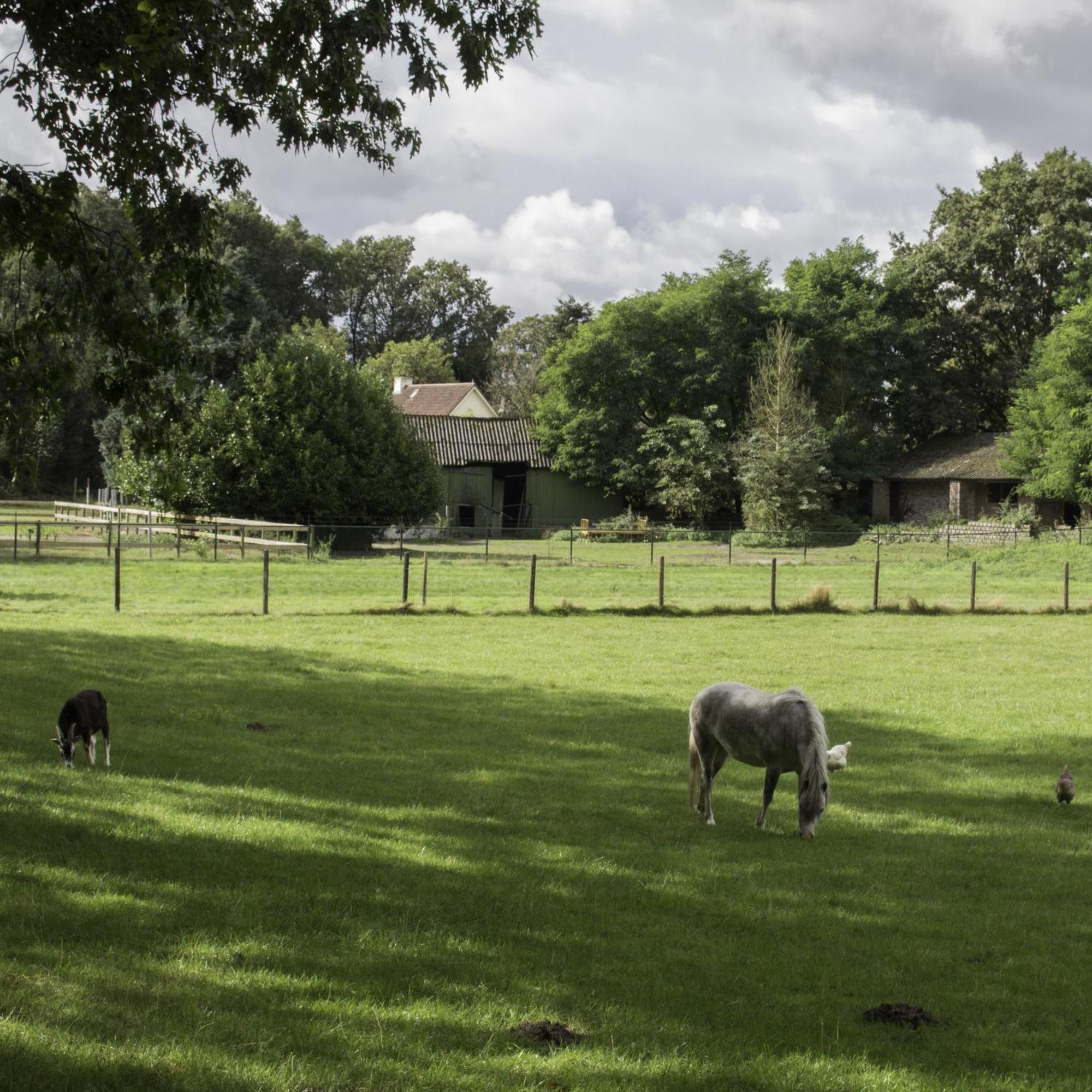 De Bosuil Bed & Breakfast Steensel Eksteriør bilde